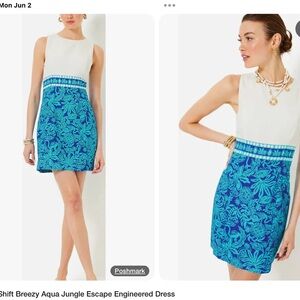 COPY - Lilly Pulitzer Cream and Blue Floral Dress